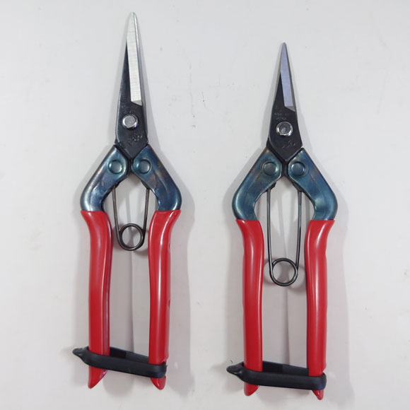 Bud cutting scissors - Double edge - (Chikamasa) "Length 165mm No.T-500  /  180mm  No.T-550.