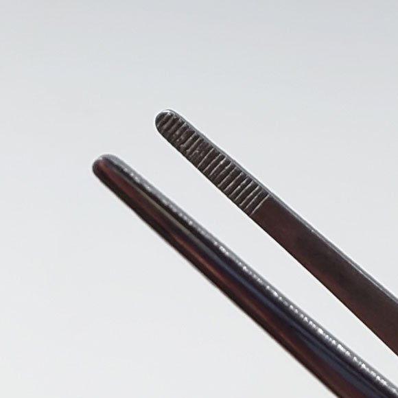 Yagimitsu Japanese Stainless Bonsai Straight Tweezers With Spatula – 2-in-1 Tool
